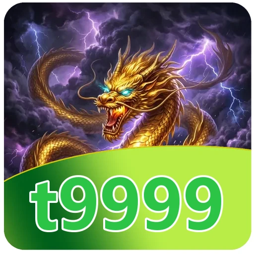 Performa t9999